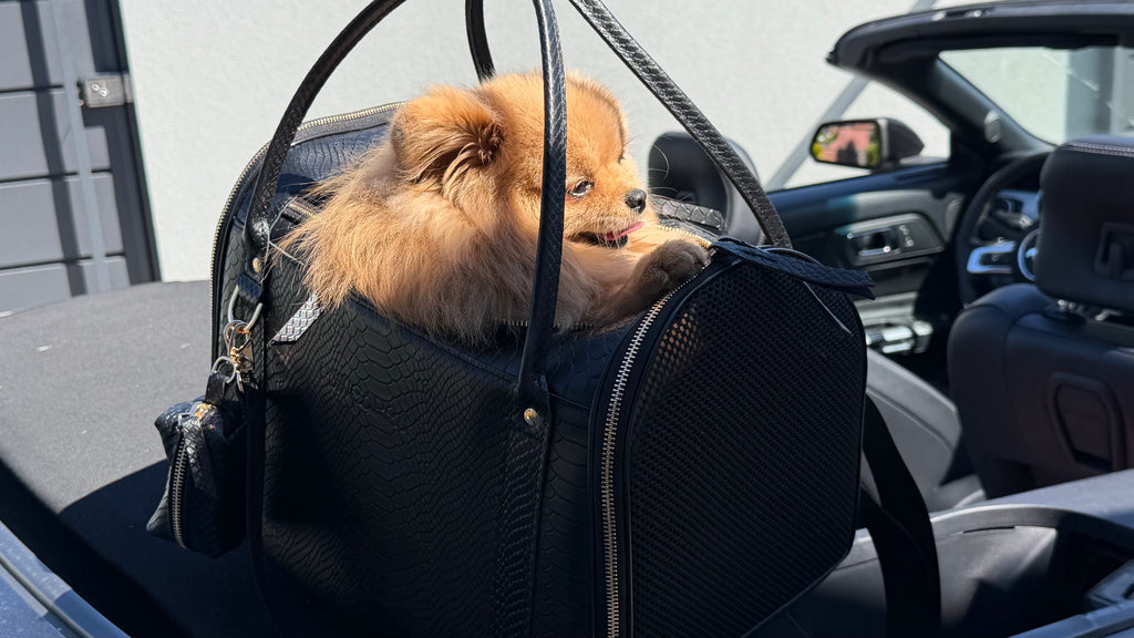 Luxury Airline-Approved Pet Carrier in Genuine Leather with Python Texture