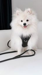 PAWEAREA Signature Embossed Leather Dog Harness
