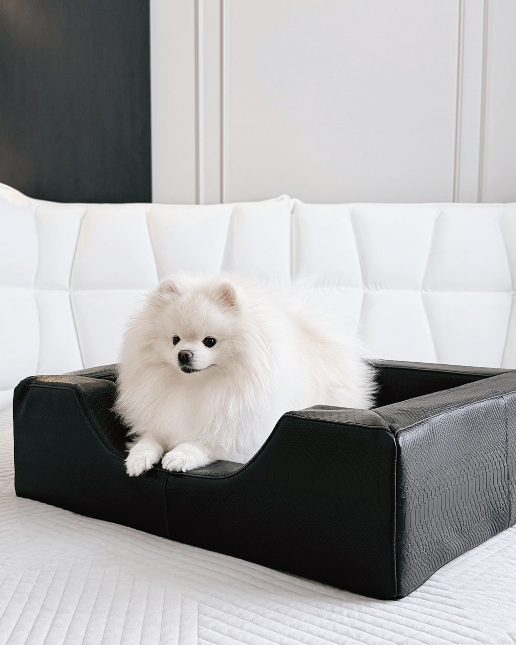 Italian Leather Dog Bed with Python Embossing & Reversible Cushion