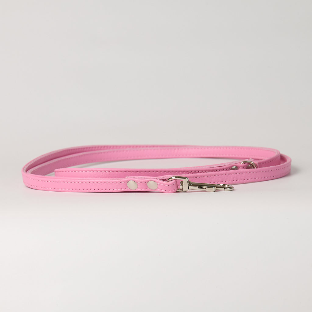 Michelle Leather Leash - additional product view