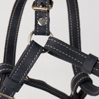 Blue Leather Dog Harness - additional product view
