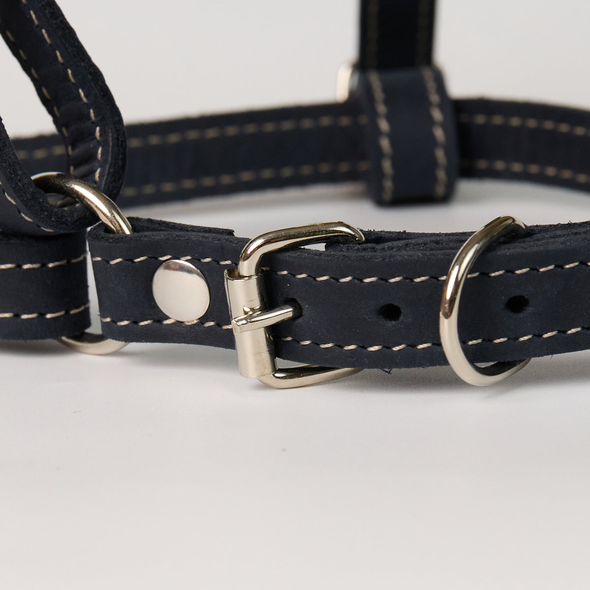 Blue Leather Dog Harness - additional product view