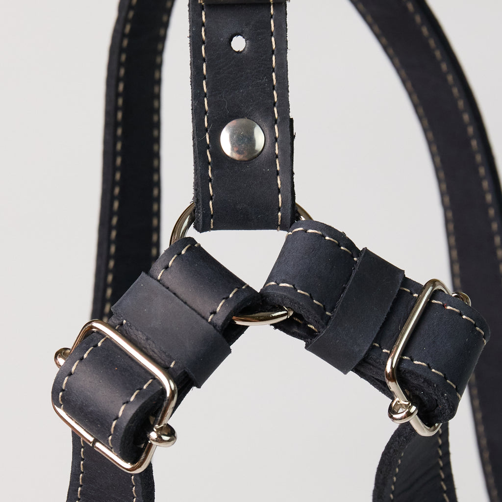 Blue Leather Dog Harness - additional product view
