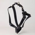 Blue Leather Dog Harness - *