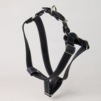 Blue Leather Dog Harness - *