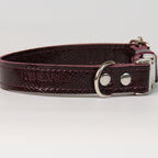 Anaconda Double Leather Dog Collar - close-up product detail