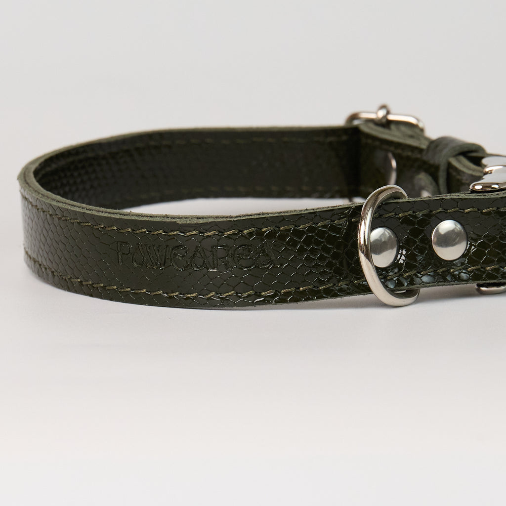 Anaconda Double Leather Dog Collar - close-up product detail