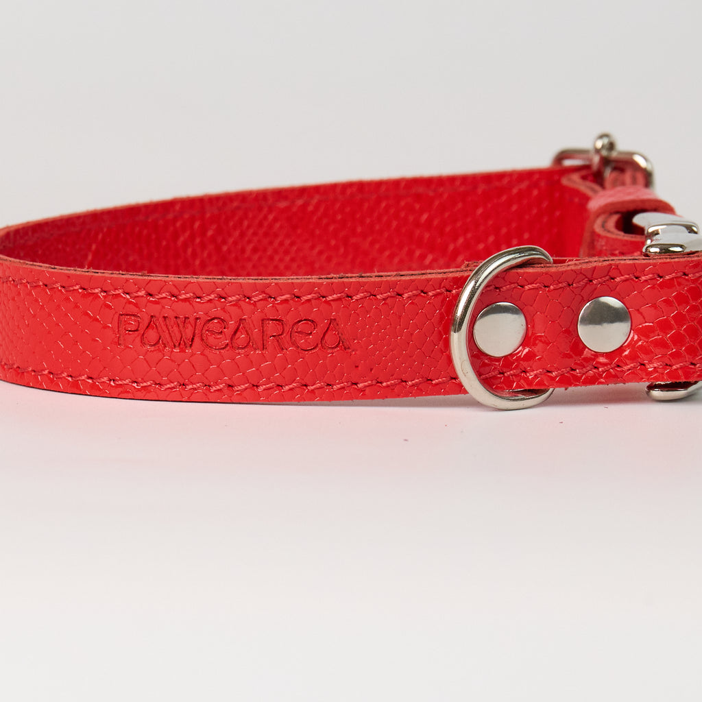 Anaconda Double Leather Dog Collar - close-up product detail
