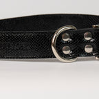 Anaconda Double Leather Dog Collar - close-up product detail