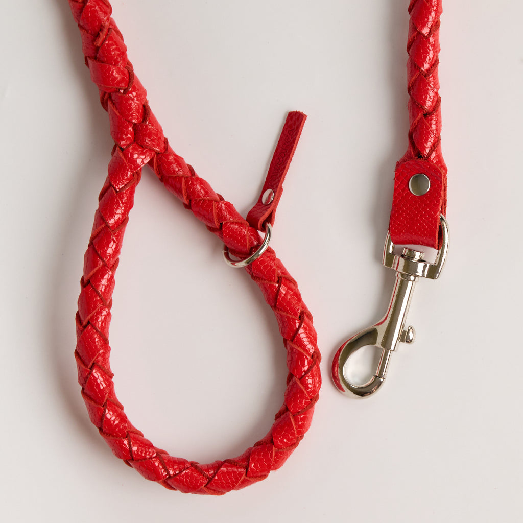 Anaconda Braided Round Leather Dog Leash - additional product view