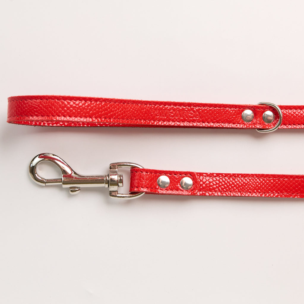 Anaconda Flat Double Leather Dog Leash - close-up product detail