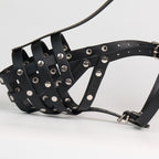 Striped Biothane Muzzle - additional product view