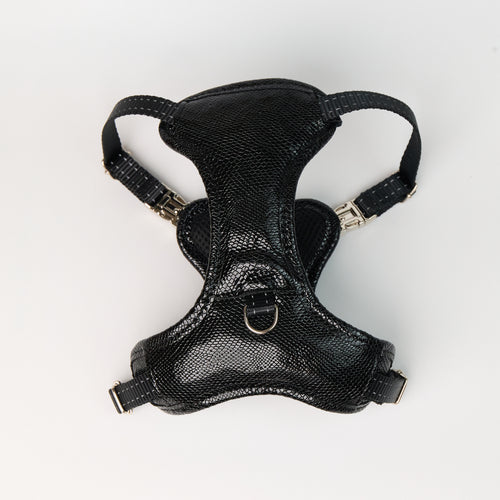 Anaconda Double Leather Dog Harness - Black