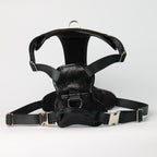 Anaconda Double Leather Dog Harness - additional product view