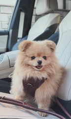 PAWEAREA Signature Embossed Leather Dog Harness