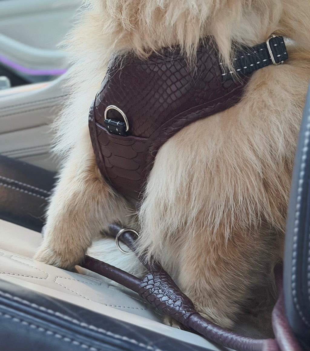PAWEAREA Signature Embossed Leather Dog Harness