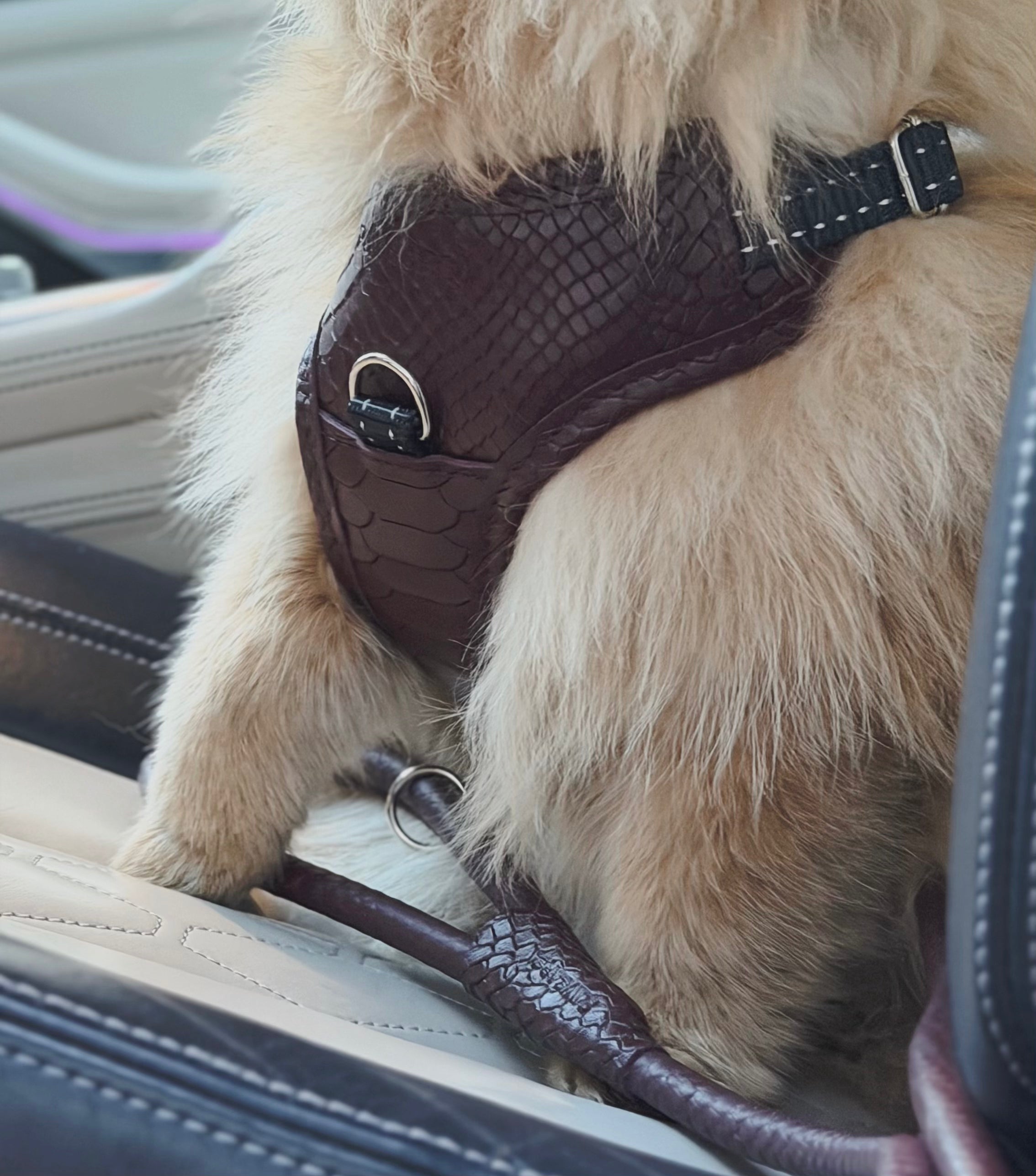 PAWEAREA Signature Embossed Leather Dog Harness