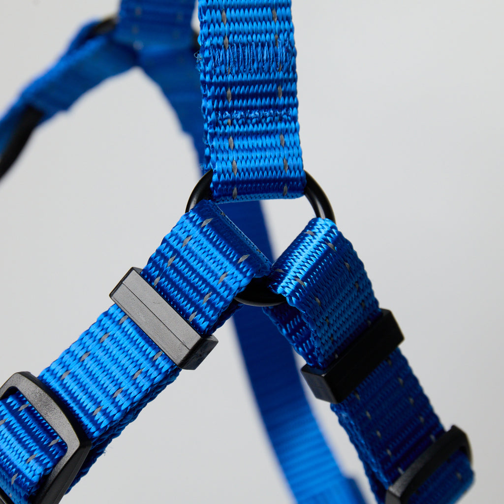 Nylon Dog Leash – Adjustable Everyday Leash for Dogs - close-up product detail