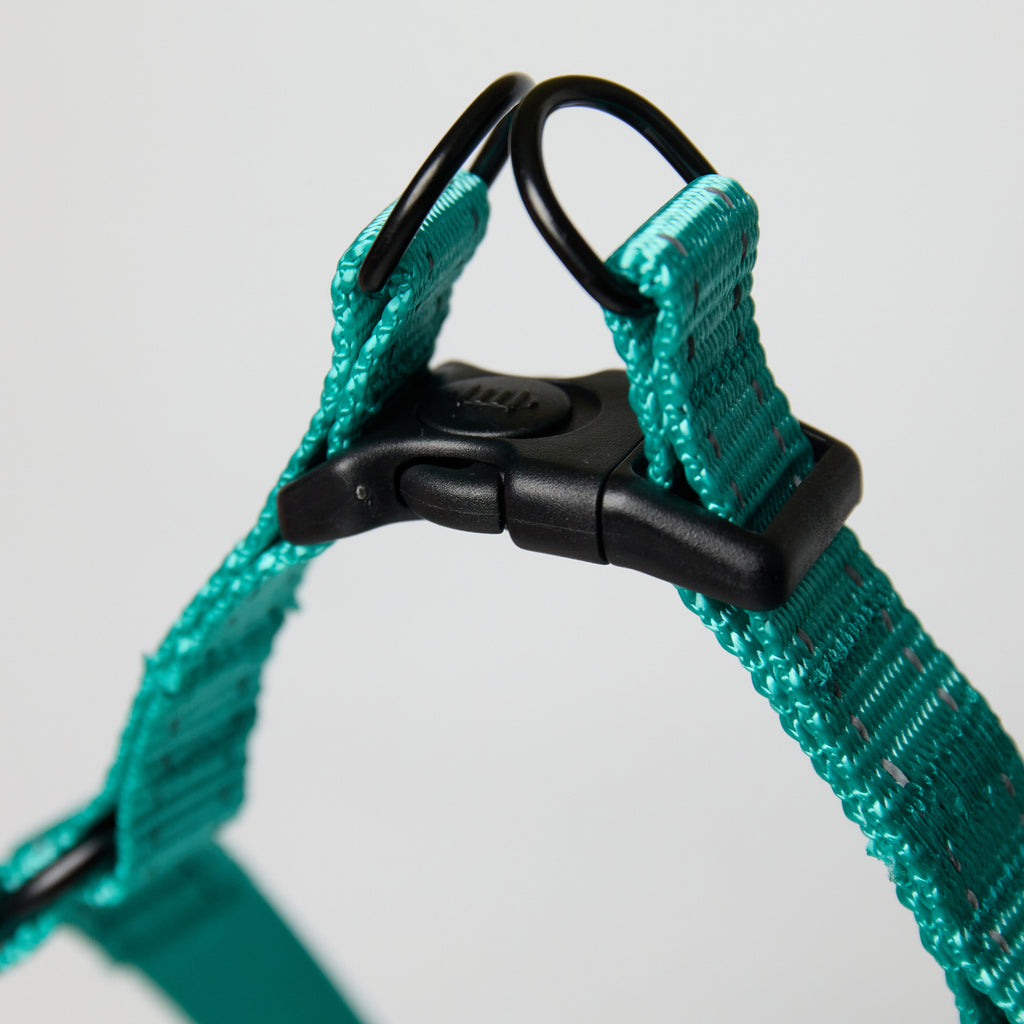 Nylon Dog Leash – Adjustable Everyday Leash for Dogs - close-up product detail