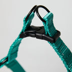 Nylon Dog Leash – Adjustable Everyday Leash for Dogs - close-up product detail