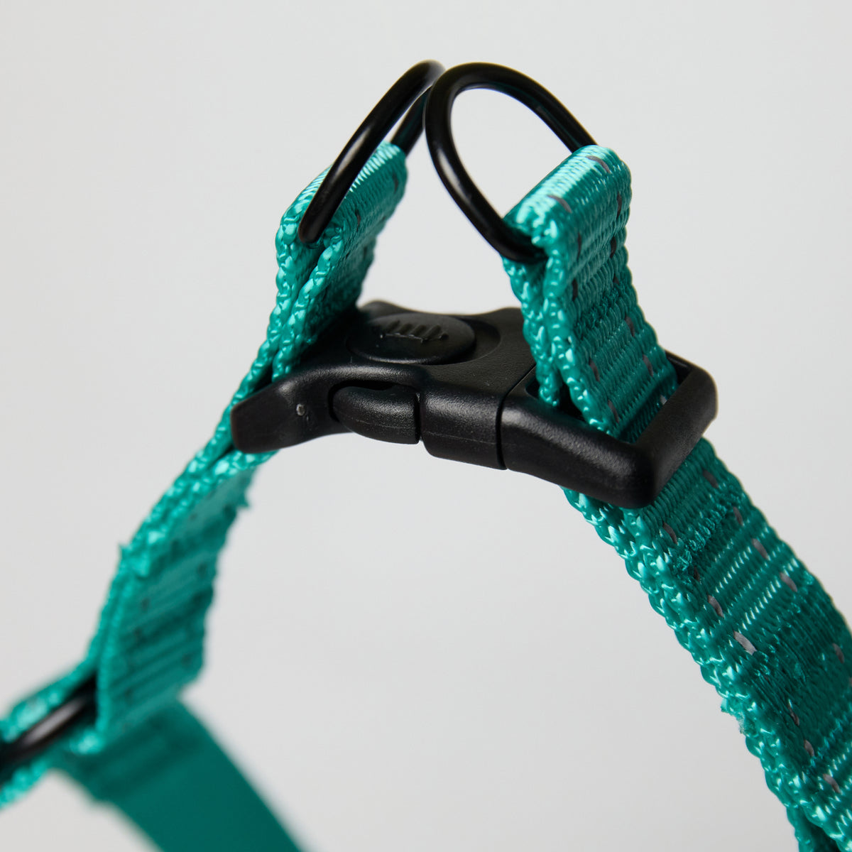 Nylon Dog Leash – Adjustable Everyday Leash for Dogs - close-up product detail