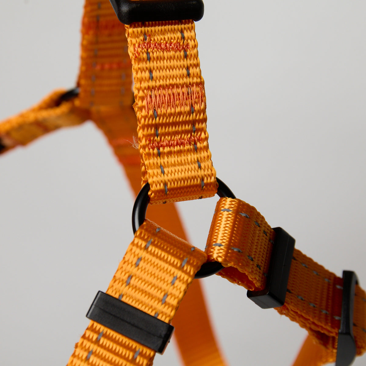 Nylon Dog Leash – Adjustable Everyday Leash for Dogs - close-up product detail
