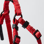 Nylon Dog Harness - additional product view