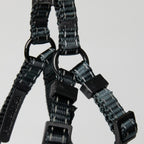 Nylon Dog Leash – Adjustable Everyday Leash for Dogs - close-up product detail