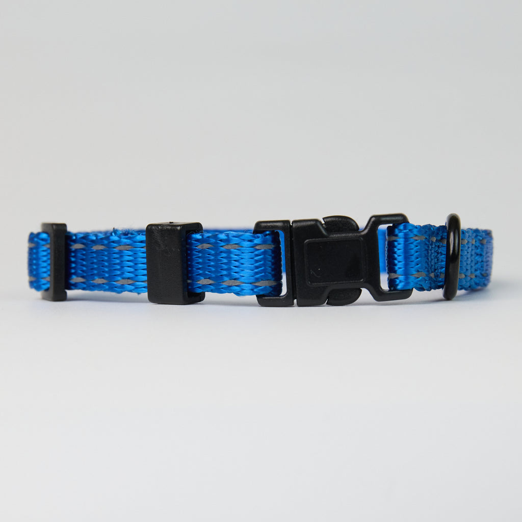 Nylon Dog Collar - additional product view