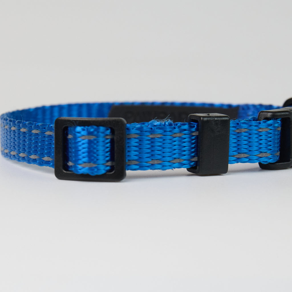 Nylon Dog Collar – Adjustable Everyday Collar for Dogs - close-up product detail