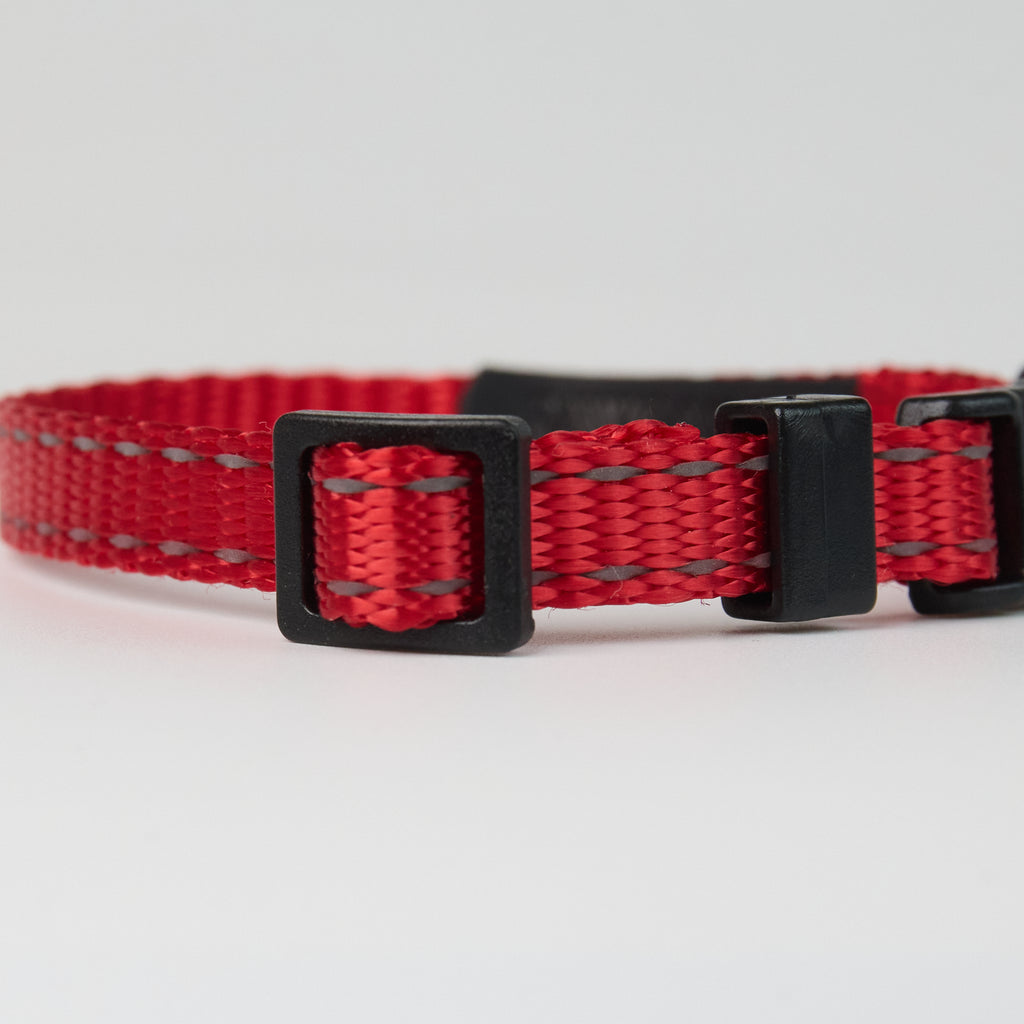 Nylon Dog Collar – Adjustable Everyday Collar for Dogs - close-up product detail