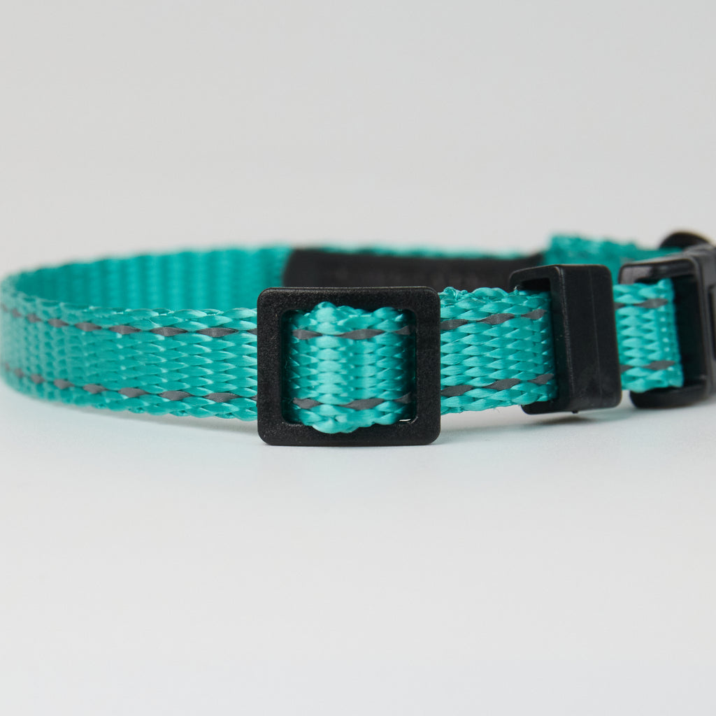 Nylon Dog Collar – Adjustable Everyday Collar for Dogs - close-up product detail