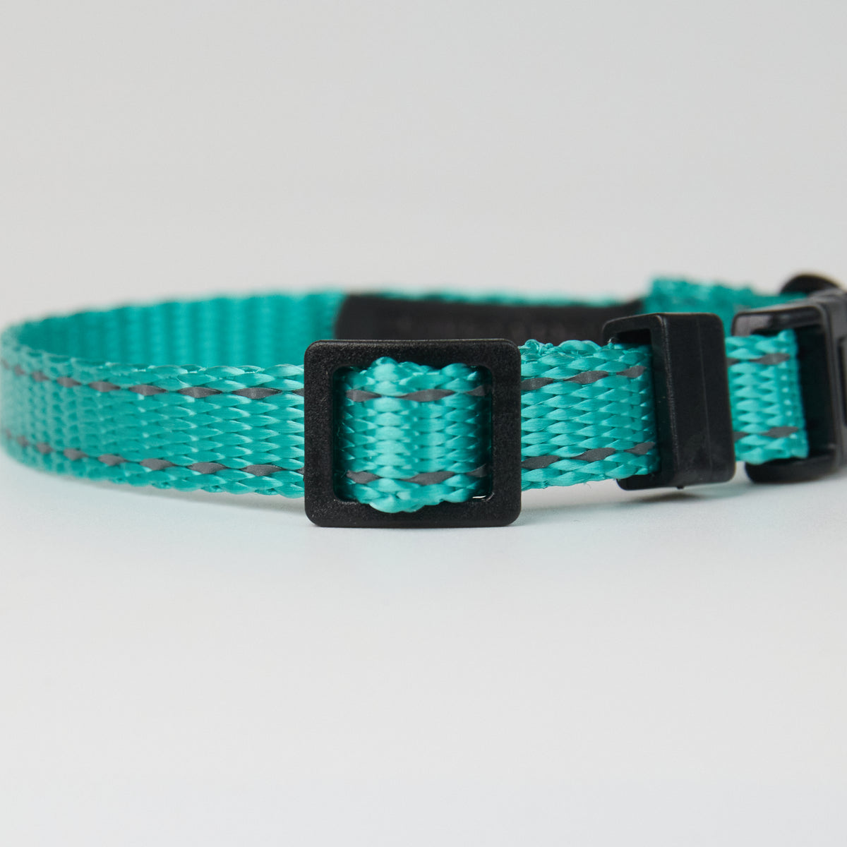 Nylon Dog Collar – Adjustable Everyday Collar for Dogs - close-up product detail