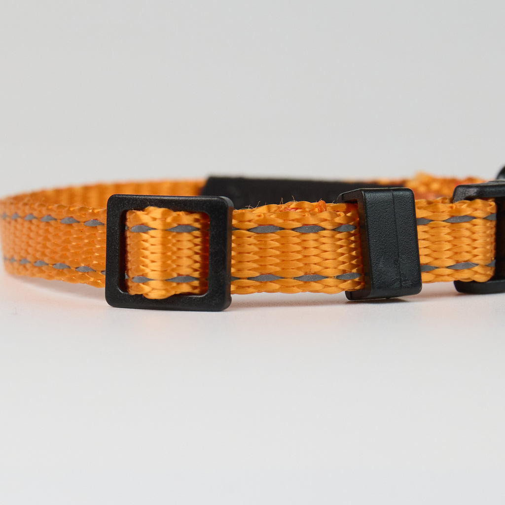 Nylon Dog Collar – Adjustable Everyday Collar for Dogs - close-up product detail