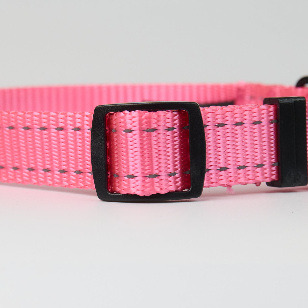 Nylon Dog Collar - additional product view
