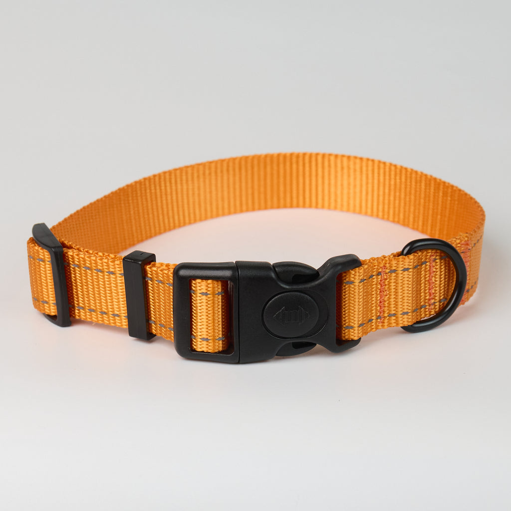 Nylon Dog Collar - Orange