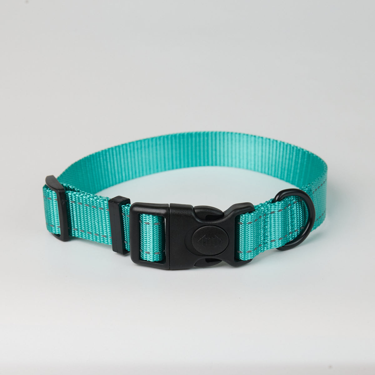 Nylon Dog Collar - Aquamarine