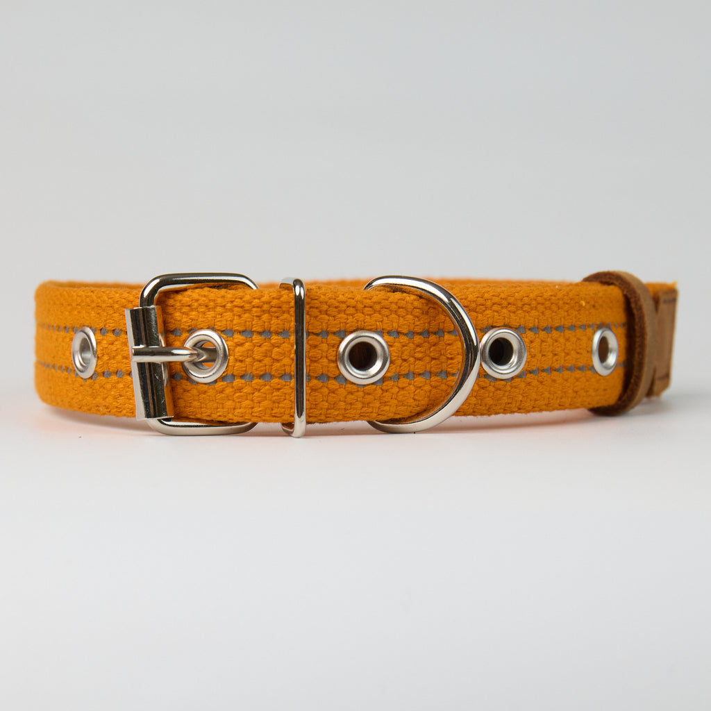 Reflective Canvas Dog Collar - Orange