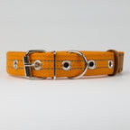 Reflective Canvas Dog Collar - Orange