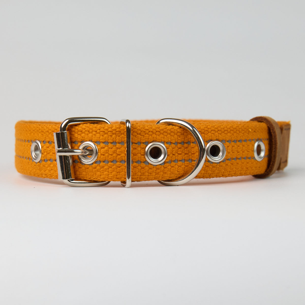 Reflective Canvas Dog Collar - Orange