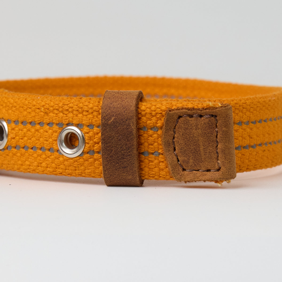 Reflective Canvas Dog Collar - additional product view