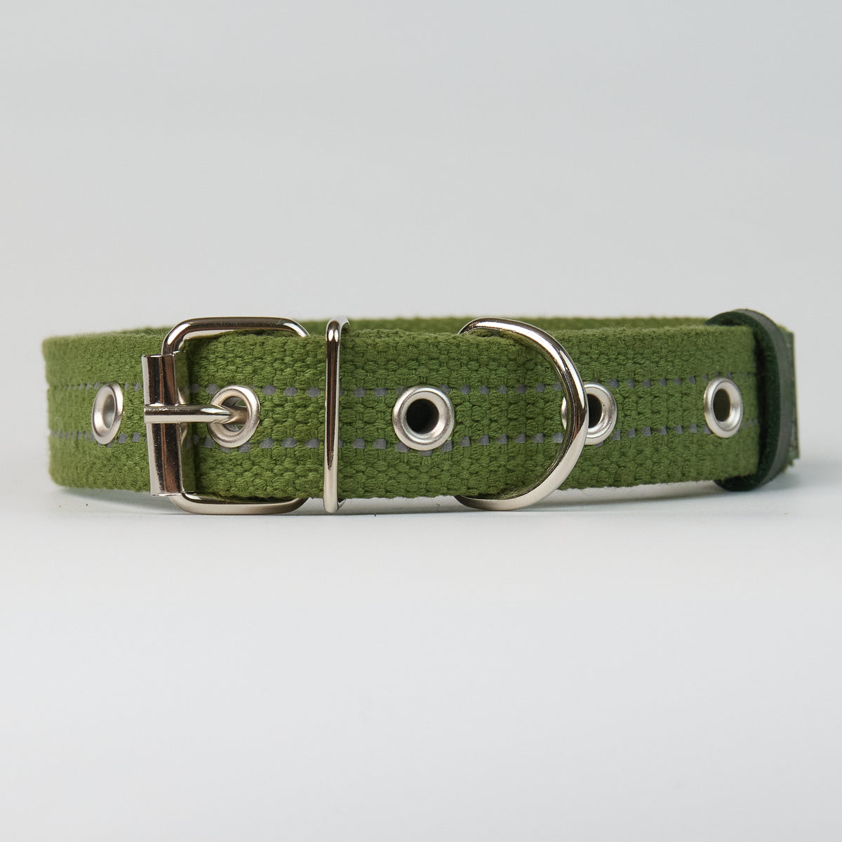 Reflective Canvas Dog Collar - Green