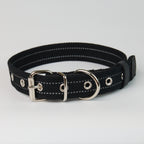 Reflective Canvas Dog Collar - additional product view