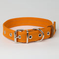 Reflective Canvas Dog Collar - additional product view