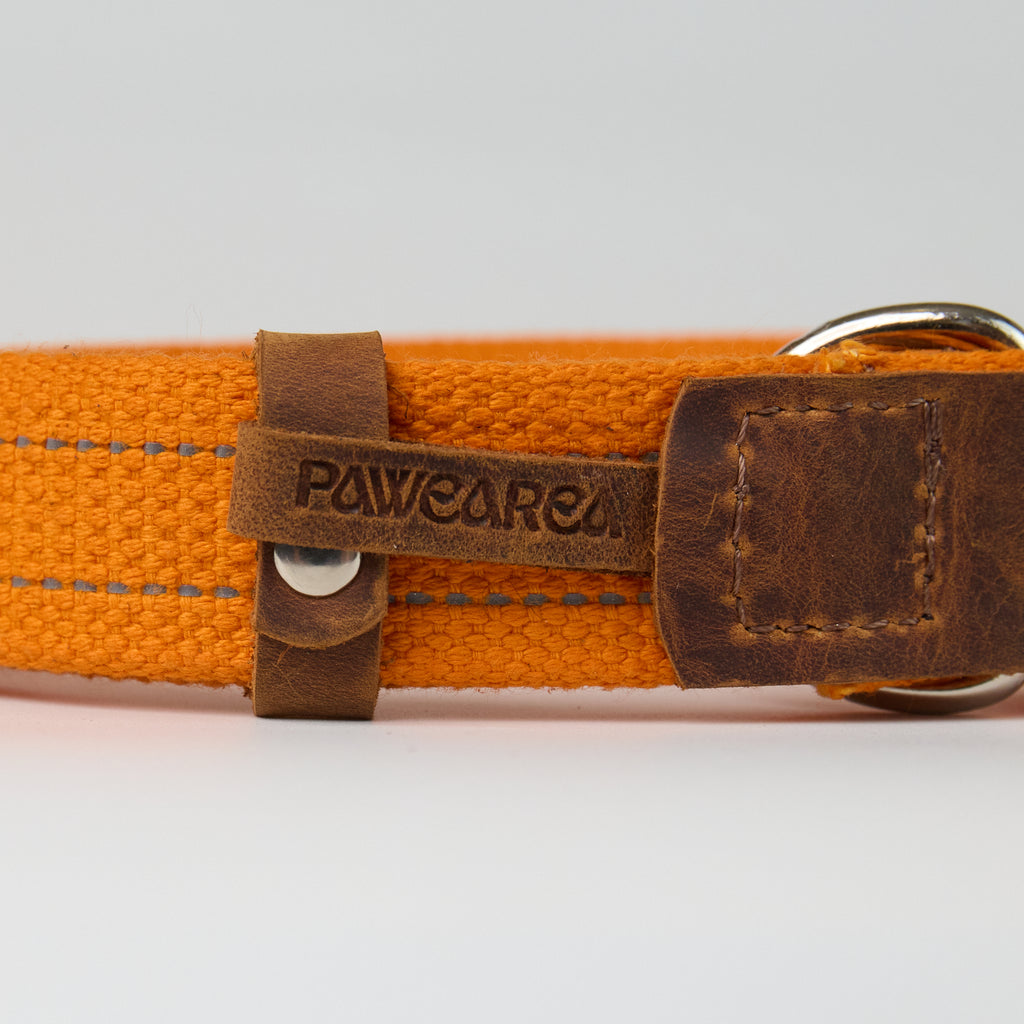 Reflective Canvas Dog Collar - additional product view