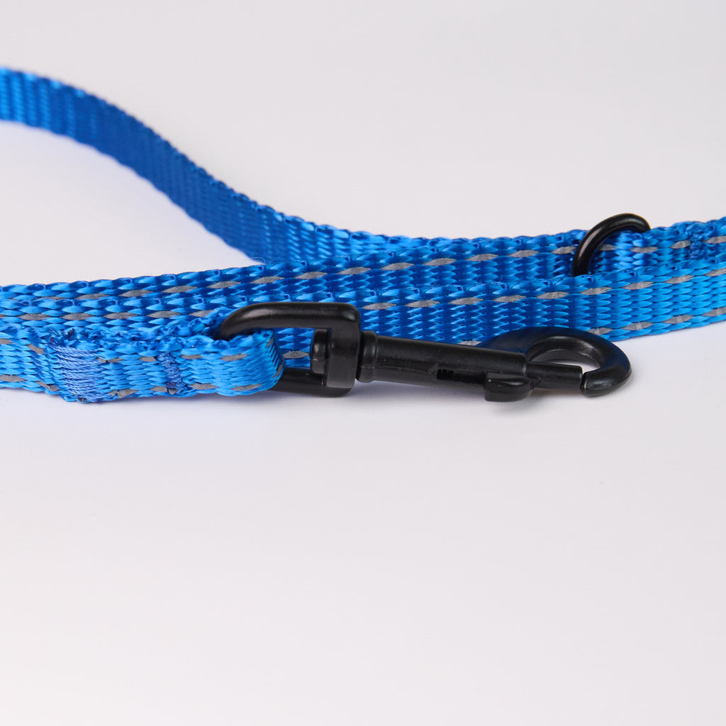 Nylon Dog Leash - close-up product detail