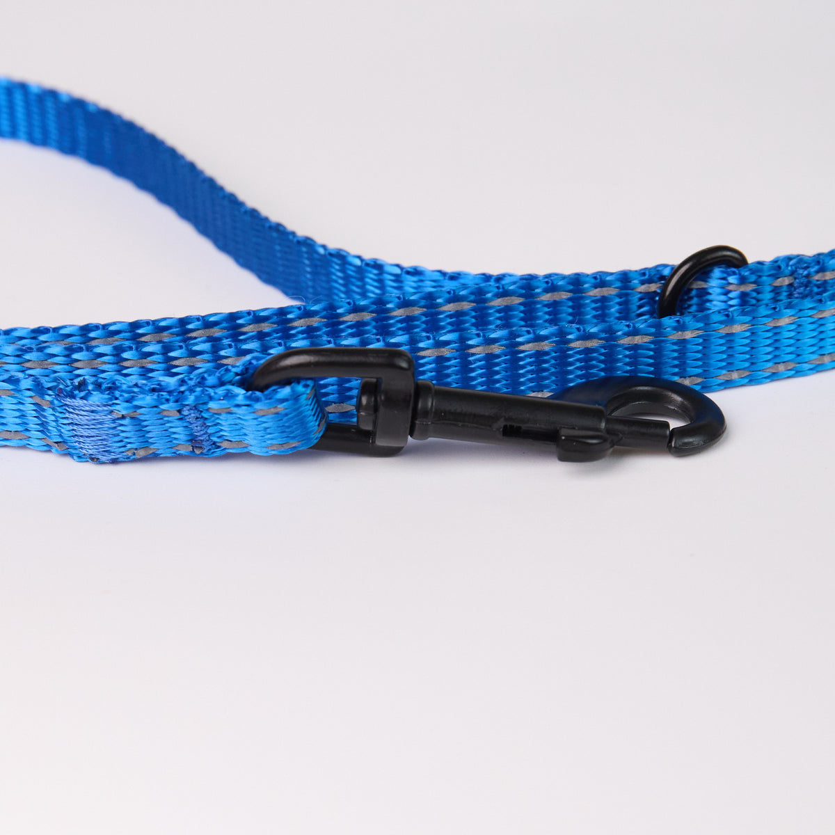Nylon Dog Leash - close-up product detail
