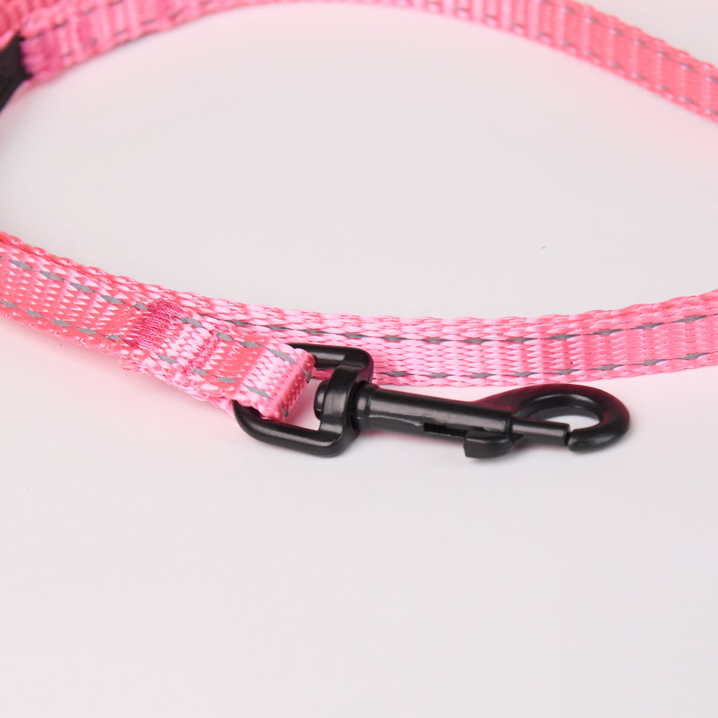 Nylon Dog Leash - close-up product detail