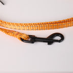 Nylon Dog Leash - close-up product detail