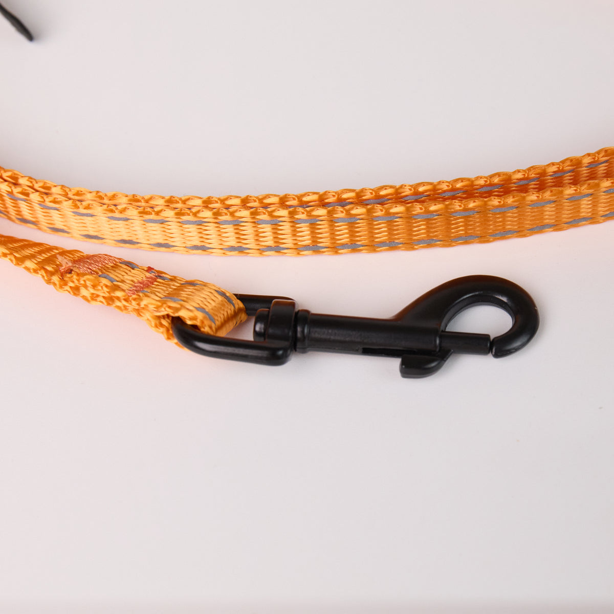 Nylon Dog Leash - close-up product detail